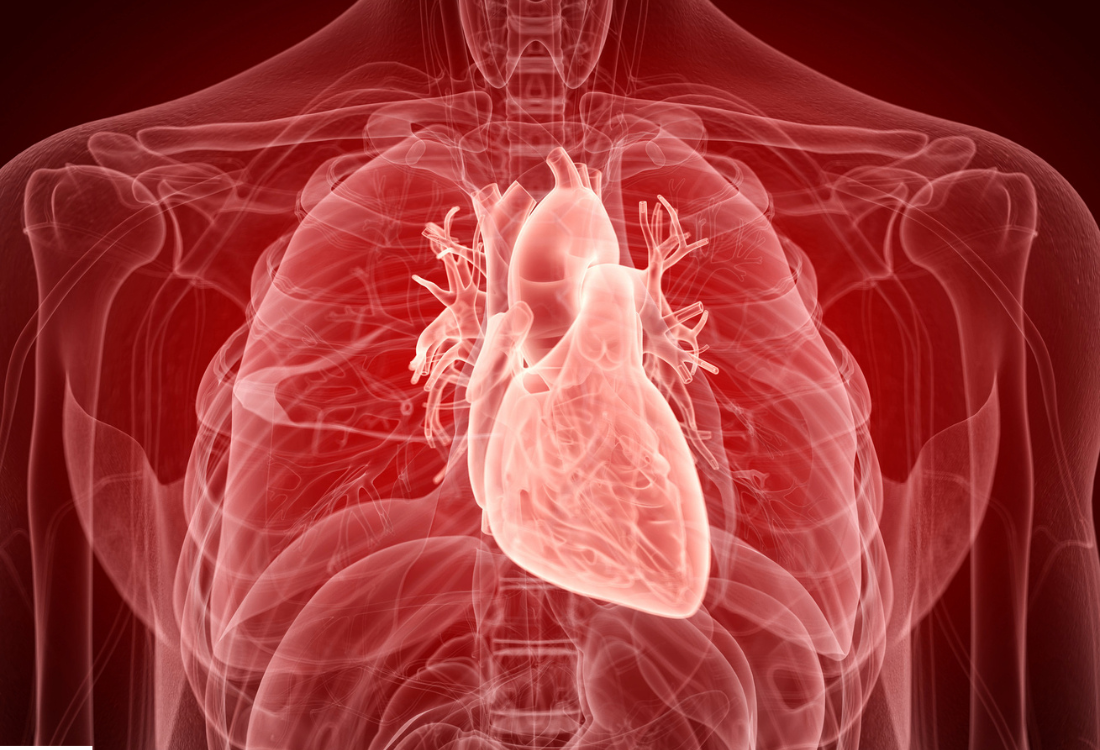 corazón